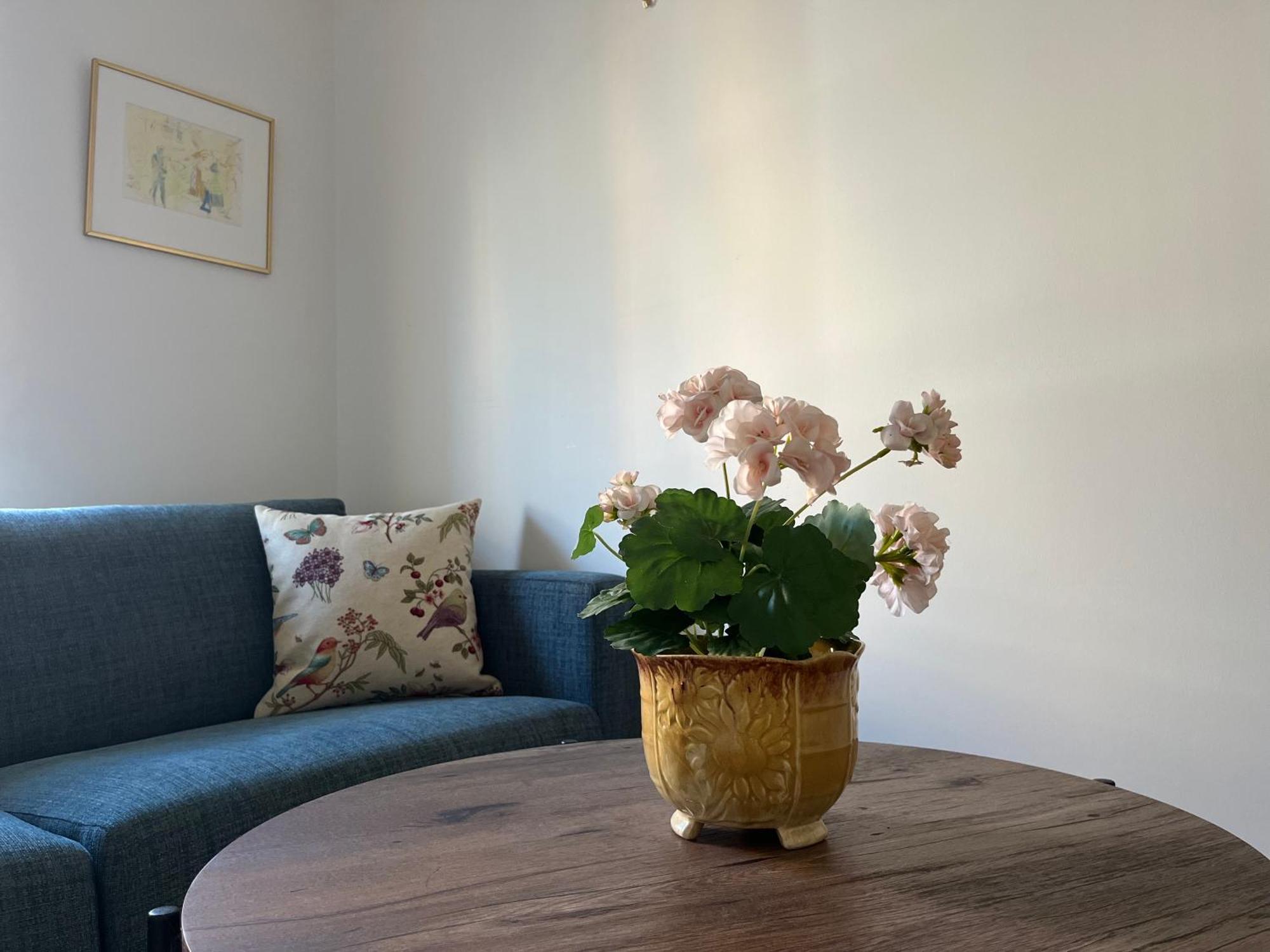 Ahusbrygga Apartment Hotel Ngoại thất bức ảnh